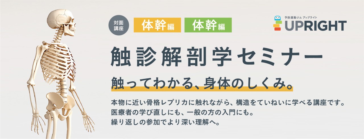 251211_触診解剖学セミナーバナー (1)
